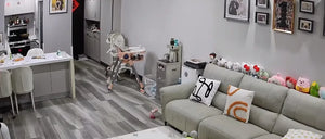 A28f8573a1652488db5548fac90e0358aR.jpg
